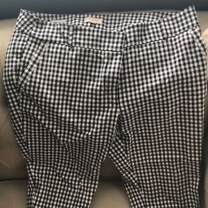 Loft Modern Skinny Pant